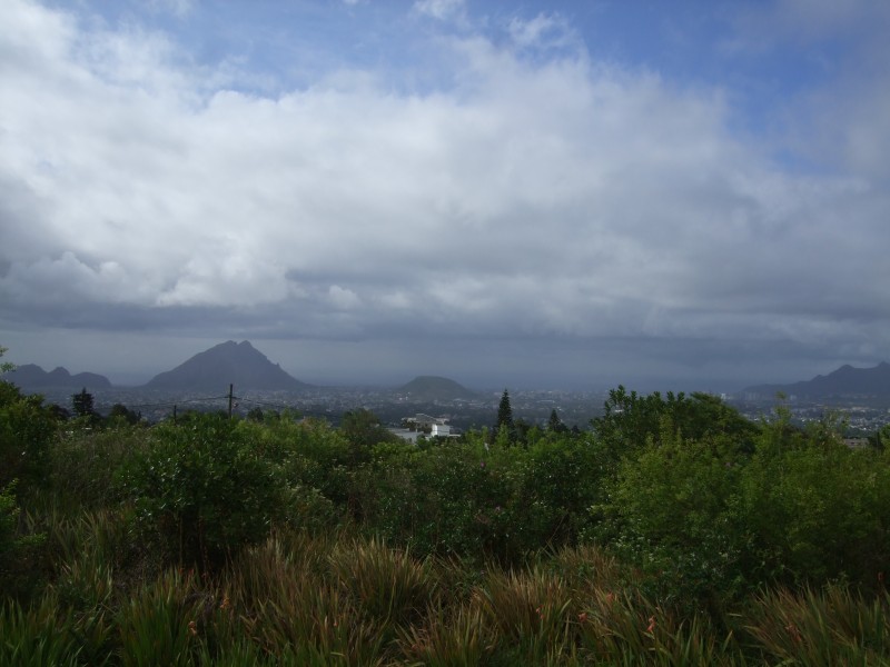 Mauritius 2010 - 0341 